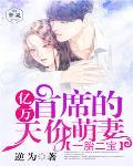 一胎二宝：亿万首席的天价萌妻