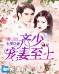 齐少，宠妻至上